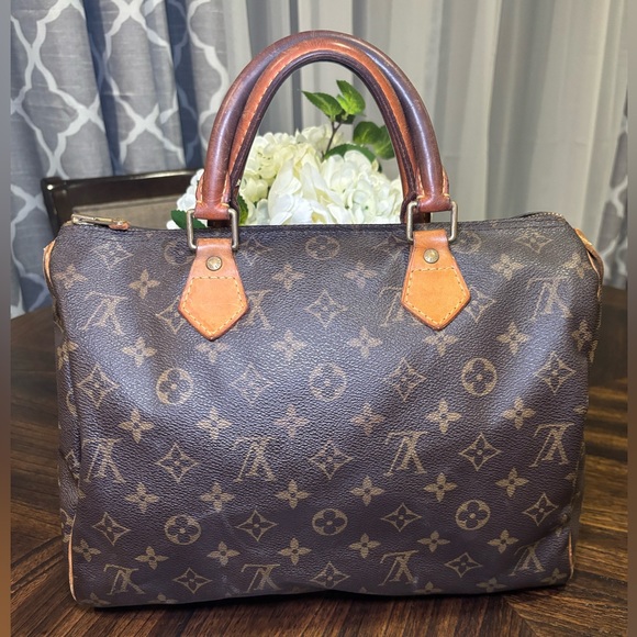 Louis Vuitton Handbags - Louis Vuitton Speedy 30